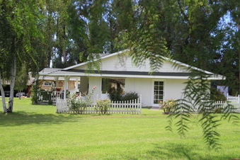 Enlarge photo 83
