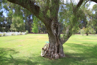 Enlarge photo 84