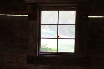 Enlarge photo 86