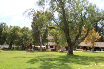 Enlarge photo 90