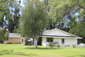 Enlarge photo 92