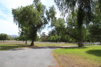 Enlarge photo 103