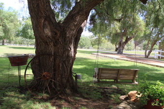 Enlarge photo 106