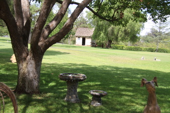 Enlarge photo 107