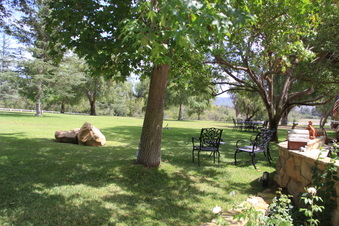 Enlarge photo 113