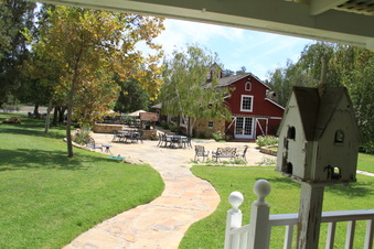 Enlarge photo 115