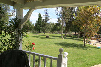 Enlarge photo 116