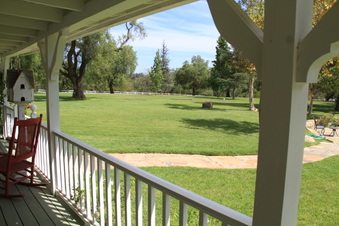 Enlarge photo 121