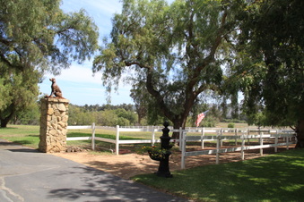 Enlarge photo 123