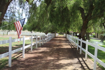 Enlarge photo 126
