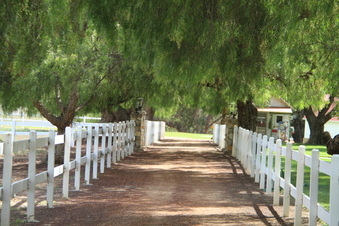 Enlarge photo 127