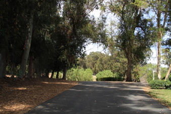 Enlarge photo 132