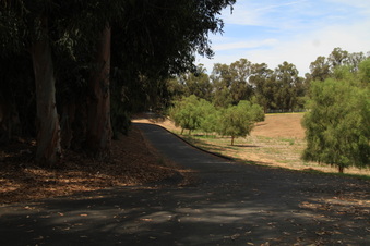 Enlarge photo 133