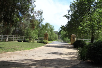 Enlarge photo 134