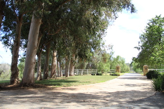 Enlarge photo 135