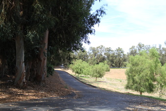 Enlarge photo 136