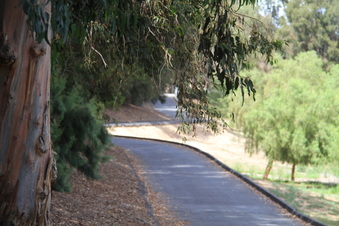 Enlarge photo 137