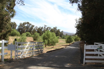 Enlarge photo 138