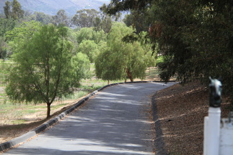 Enlarge photo 139