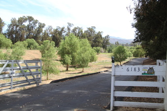 Enlarge photo 140