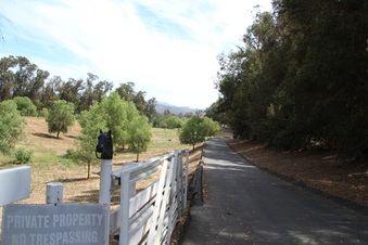 Enlarge photo 141