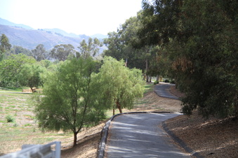 Enlarge photo 142