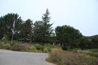 Enlarge photo 10