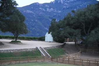 Enlarge photo 96