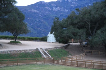 Enlarge photo 97