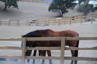Enlarge photo 98