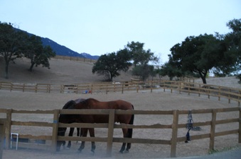 Enlarge photo 99