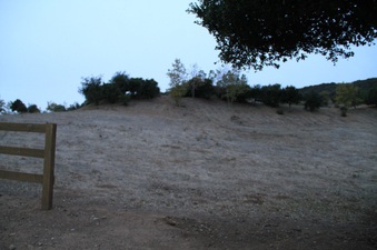 Enlarge photo 101