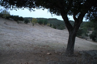 Enlarge photo 102
