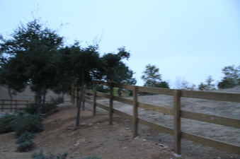 Enlarge photo 103