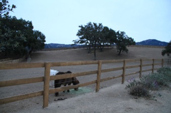 Enlarge photo 104