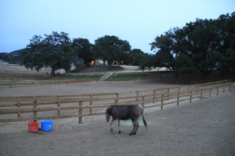 Enlarge photo 109