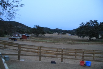 Enlarge photo 110