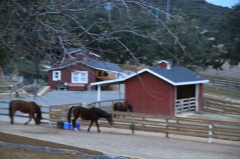 Enlarge photo 111