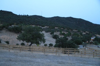 Enlarge photo 116