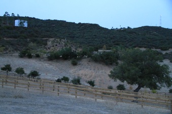 Enlarge photo 117