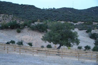 Enlarge photo 118