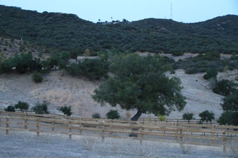Enlarge photo 119