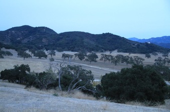 Enlarge photo 122