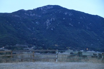 Enlarge photo 124