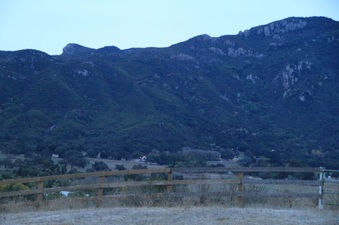 Enlarge photo 125