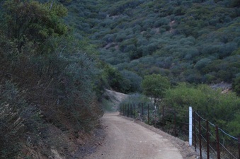 Enlarge photo 127