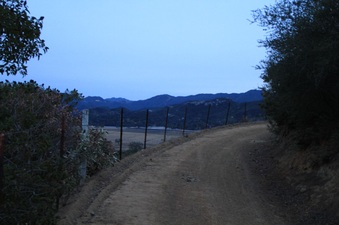 Enlarge photo 131