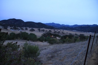 Enlarge photo 133