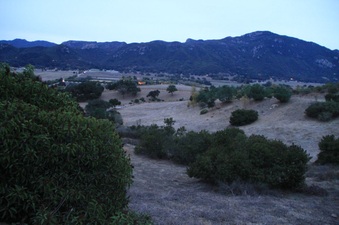 Enlarge photo 135