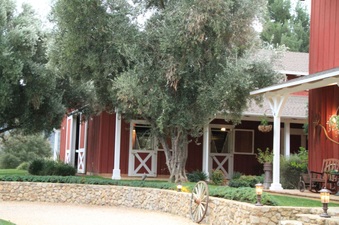 Enlarge photo 13